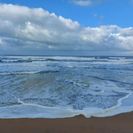 Olas Deluxe ساليناس