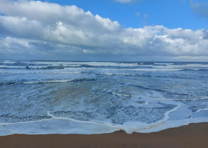 Olas Deluxe Salinas (Castrillon)
